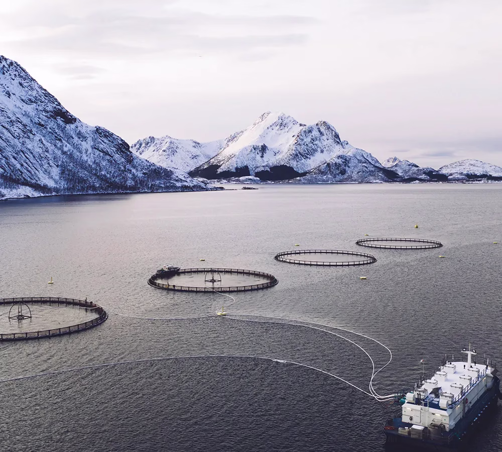 Caso de éxito Aquanaria